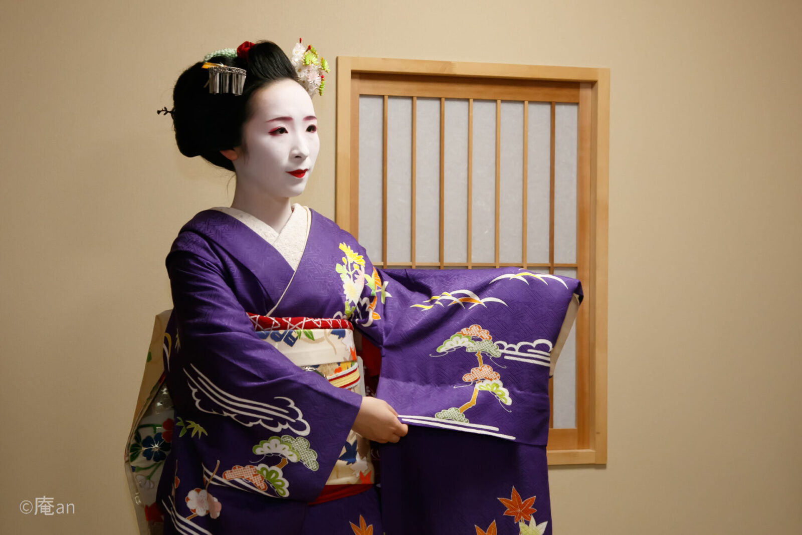 ★Confirmed Plan★Tea ceremony with Maiko (with 2 dried-type Japanese Sweets and Matcha) 画像4